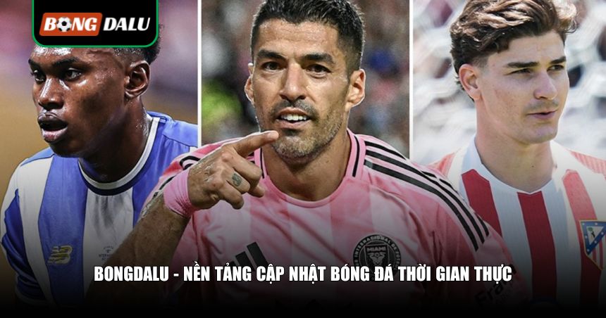 Bongdalu Nhận Định Bóng Đá: Phân Tích Trận Đấu Chuẩn Xác Mỗi Ngày 1 Nền tảng nhận định hàng đầu