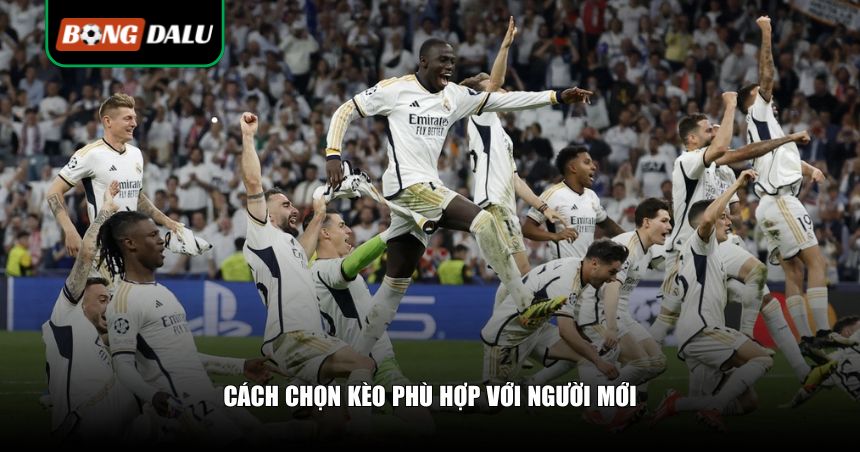 Cách chọn kèo phù hợp với người mới