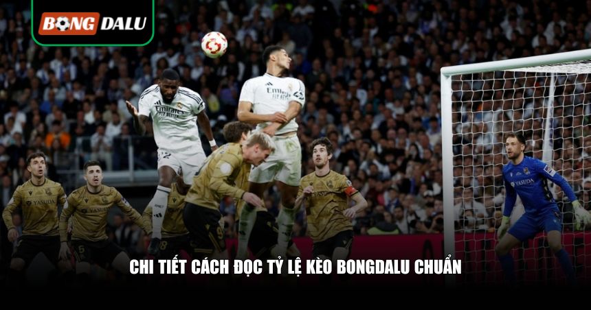 Hướng Dẫn Cách Đọc Tỷ Lệ Kèo Bongdalu Chi Tiết Từ A–Z Cho Người Mới 3 Chi tiết cách đọc tỷ lệ kèo Bongdalu chuẩn