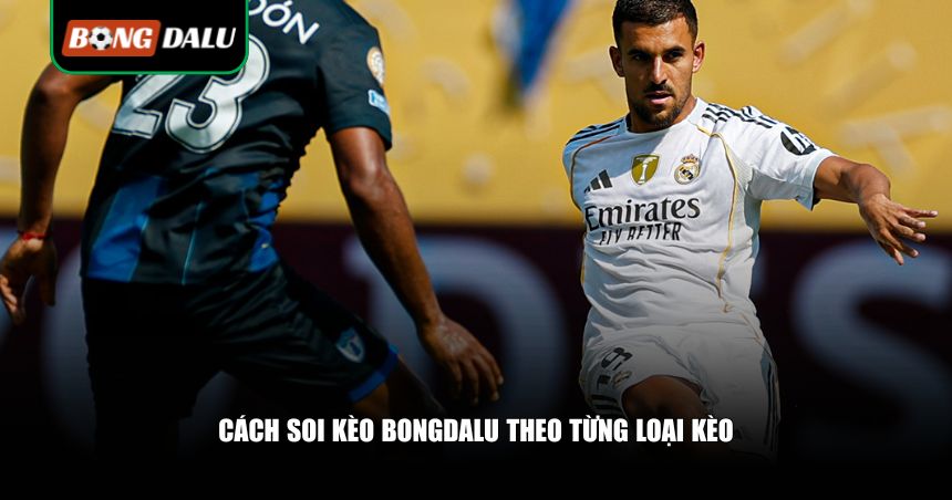 Cách soi kèo Bongdalu theo từng loại kèo