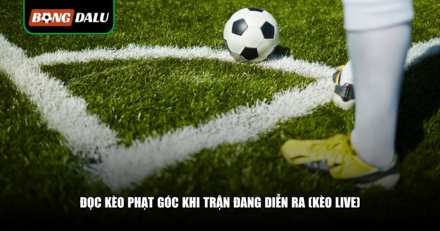 Đọc Kèo Phạt Góc: Cách Bắt Góc Chuẩn Chỉnh, Tăng Tỷ Lệ Thắng Từ Số Liệu Trận Đấu 4 Đọc kèo phạt góc khi trận đang diễn ra (kèo live)