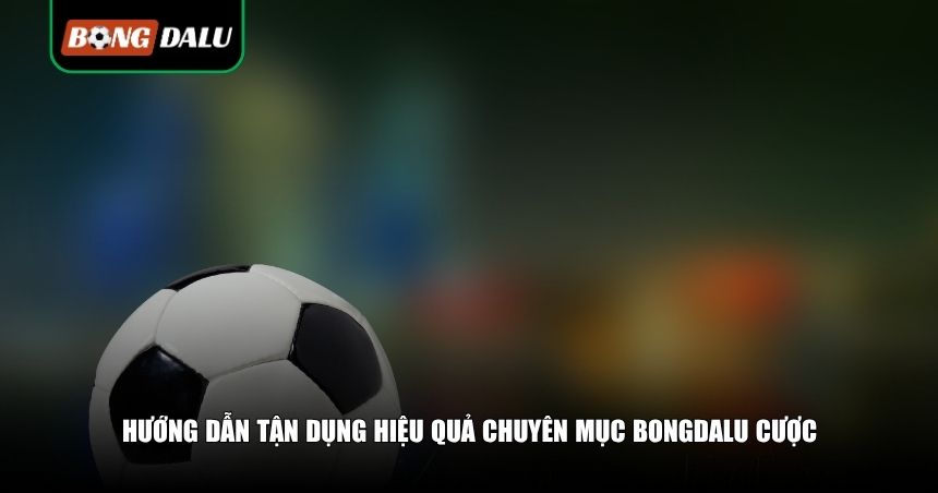 Bongdalu Mẹo Chiến Thuật Cược – Bí Quyết Cá Cược Hiệu Quả Mỗi Ngày 3 Hướng dẫn tận dụng hiệu quả mẹo cược