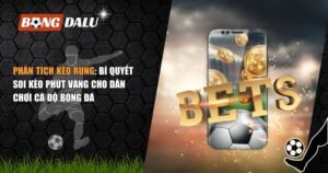 phân tích kèo rung