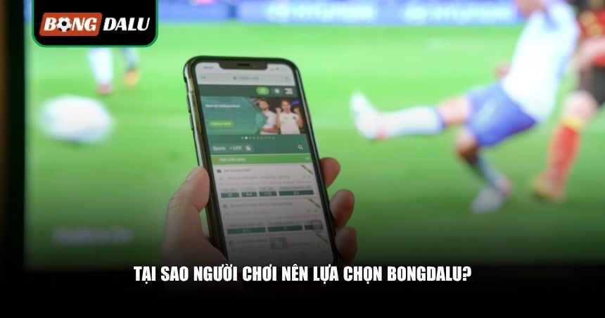 Thông Tin Về Chúng Tôi - Bongdalu Trang Cá Cược Uy Tín Hàng Đầu 2 Những ưu điểm nổi bật khẳng định vị thế của Bongdalu