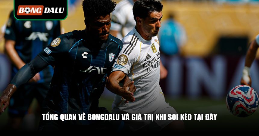 Tổng quan về bongdalu