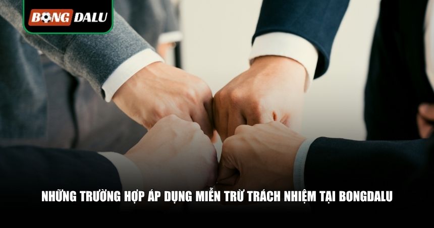 Tìm Hiểu Những Quy Định Miễn Trừ Trách Nhiệm Tại bongdalu 2 Khi nào thì bongdalu được áp dụng miễn trừ trách nhiệm?