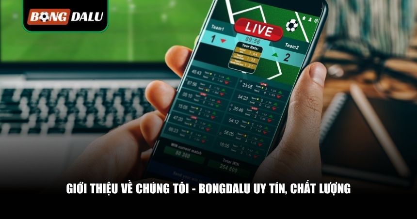 Thông Tin Về Chúng Tôi - Bongdalu Trang Cá Cược Uy Tín Hàng Đầu 1 Đôi nét giới thiệu tổng quan về chúng tôi - sân chơi Bongdalu